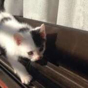 ヒメ日記 2025/08/04 14:24 投稿 広瀬(ひろせ) 立川熟女の秘密基地