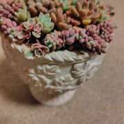 ヒメ日記 2025/10/14 15:51 投稿 はなまる 熟女の風俗最終章 宇都宮店