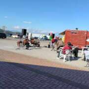 ヒメ日記 2025/12/06 14:36 投稿 はなまる 熟女の風俗最終章 宇都宮店