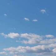 はなまる 花丸通信(雑記帳) 熟女の風俗最終章 宇都宮店