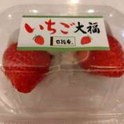 ヒメ日記 2025/12/28 12:12 投稿 はなまる 熟女の風俗最終章 宇都宮店