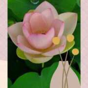 ヒメ日記 2026/03/11 14:01 投稿 はなまる 熟女の風俗最終章 宇都宮店