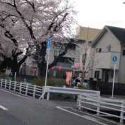 ヒメ日記 2026/04/02 16:54 投稿 はなまる 熟女の風俗最終章 宇都宮店