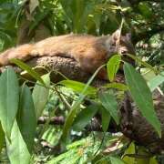 ヒメ日記 2025/05/22 22:22 投稿 ひかる 吉祥寺人妻研究会