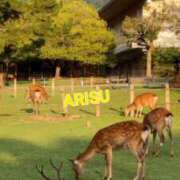 ヒメ日記 2025/01/21 21:07 投稿 ありす もしもし亀よ亀さんよ 名古屋店