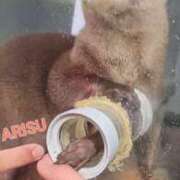 ヒメ日記 2025/03/13 22:19 投稿 ありす もしもし亀よ亀さんよ 名古屋店