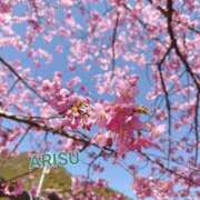 ヒメ日記 2025/03/26 21:09 投稿 ありす もしもし亀よ亀さんよ 名古屋店