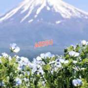 ヒメ日記 2025/06/11 21:43 投稿 ありす もしもし亀よ亀さんよ 名古屋店