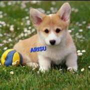 ヒメ日記 2025/08/13 21:35 投稿 ありす もしもし亀よ亀さんよ 名古屋店