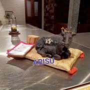 ヒメ日記 2025/10/14 20:51 投稿 ありす もしもし亀よ亀さんよ 名古屋店