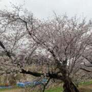 ヒメ日記 2026/04/01 17:40 投稿 虹花 梅田泡洗体ハイブリッドエステ