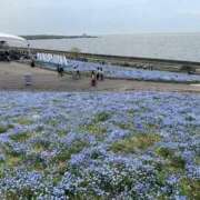 ヒメ日記 2026/04/28 21:12 投稿 虹花 梅田泡洗体ハイブリッドエステ