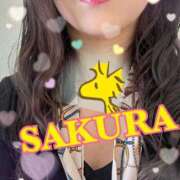 ヒメ日記 2025/03/13 11:21 投稿 涼風桜 五十路マダム 博多店