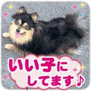 ヒメ日記 2025/02/27 19:27 投稿 花園あすか 五十路マダム 博多店