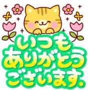 ヒメ日記 2025/03/31 04:17 投稿 花園あすか 五十路マダム 博多店