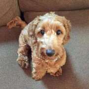 ヒメ日記 2025/04/18 21:07 投稿 花園あすか 五十路マダム 博多店