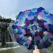 ヒメ日記 2025/06/01 21:15 投稿 花園あすか 五十路マダム 博多店