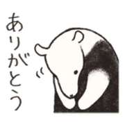 ヒメ日記 2025/08/26 04:07 投稿 花園あすか 五十路マダム 博多店