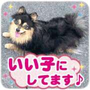 ヒメ日記 2025/09/22 18:17 投稿 花園あすか 五十路マダム 博多店