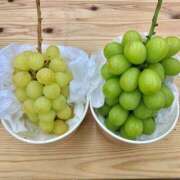 ヒメ日記 2025/10/03 19:27 投稿 花園あすか 五十路マダム 博多店