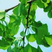 ヒメ日記 2025/10/20 20:27 投稿 花園あすか 五十路マダム 博多店