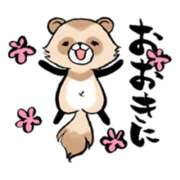 ヒメ日記 2025/11/17 04:07 投稿 花園あすか 五十路マダム 博多店