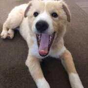 ヒメ日記 2025/11/23 18:37 投稿 花園あすか 五十路マダム 博多店