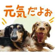 ヒメ日記 2025/12/05 13:17 投稿 花園あすか 五十路マダム 博多店