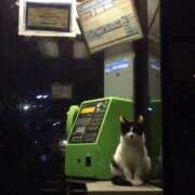 ヒメ日記 2025/12/12 18:47 投稿 花園あすか 五十路マダム 博多店