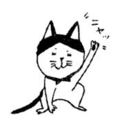 ヒメ日記 2025/12/19 16:57 投稿 花園あすか 五十路マダム 博多店