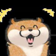 ヒメ日記 2025/12/23 17:37 投稿 花園あすか 五十路マダム 博多店