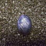 ヒメ日記 2026/01/04 14:14 投稿 花園あすか 五十路マダム 博多店