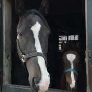 ヒメ日記 2026/01/06 14:36 投稿 花園あすか 五十路マダム 博多店