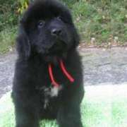 ヒメ日記 2026/01/14 21:47 投稿 花園あすか 五十路マダム 博多店