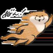 ヒメ日記 2026/01/23 13:37 投稿 花園あすか 五十路マダム 博多店