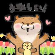 ヒメ日記 2026/01/30 03:17 投稿 花園あすか 五十路マダム 博多店