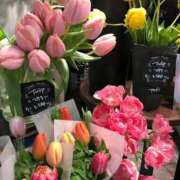 ヒメ日記 2026/02/02 13:38 投稿 花園あすか 五十路マダム 博多店