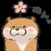 ヒメ日記 2026/02/18 15:47 投稿 花園あすか 五十路マダム 博多店