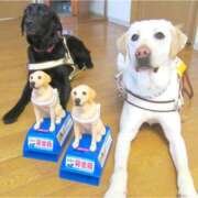 ヒメ日記 2026/02/18 19:57 投稿 花園あすか 五十路マダム 博多店