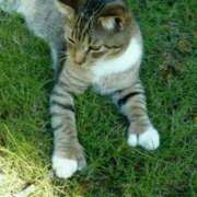 ヒメ日記 2026/02/22 21:37 投稿 花園あすか 五十路マダム 博多店