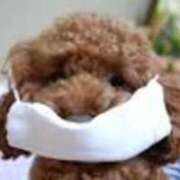 ヒメ日記 2026/03/08 14:57 投稿 花園あすか 五十路マダム 博多店