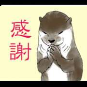 ヒメ日記 2026/03/20 03:37 投稿 花園あすか 五十路マダム 博多店