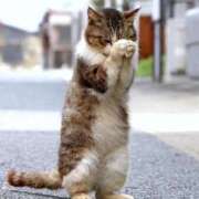 ヒメ日記 2026/03/31 10:41 投稿 花園あすか 五十路マダム 博多店