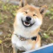 ヒメ日記 2026/04/01 20:37 投稿 花園あすか 五十路マダム 博多店