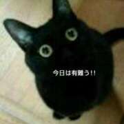 ヒメ日記 2026/05/20 23:07 投稿 花園あすか 五十路マダム 博多店