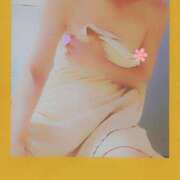 ヒメ日記 2025/04/09 06:17 投稿 蔵守さつき 五十路マダム 博多店