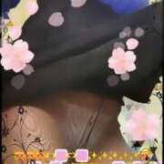 ヒメ日記 2026/03/29 06:07 投稿 蔵守さつき 五十路マダム 博多店