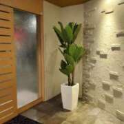 ヒメ日記 2025/01/17 14:46 投稿 吉田和歌子 五十路マダム 博多店