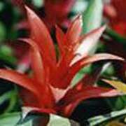 ヒメ日記 2025/01/18 21:34 投稿 吉田和歌子 五十路マダム 博多店