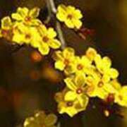 ヒメ日記 2025/01/23 16:47 投稿 吉田和歌子 五十路マダム 博多店